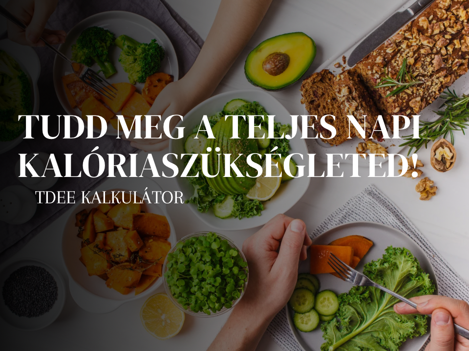 Ingyenes TDEE kalkulátor